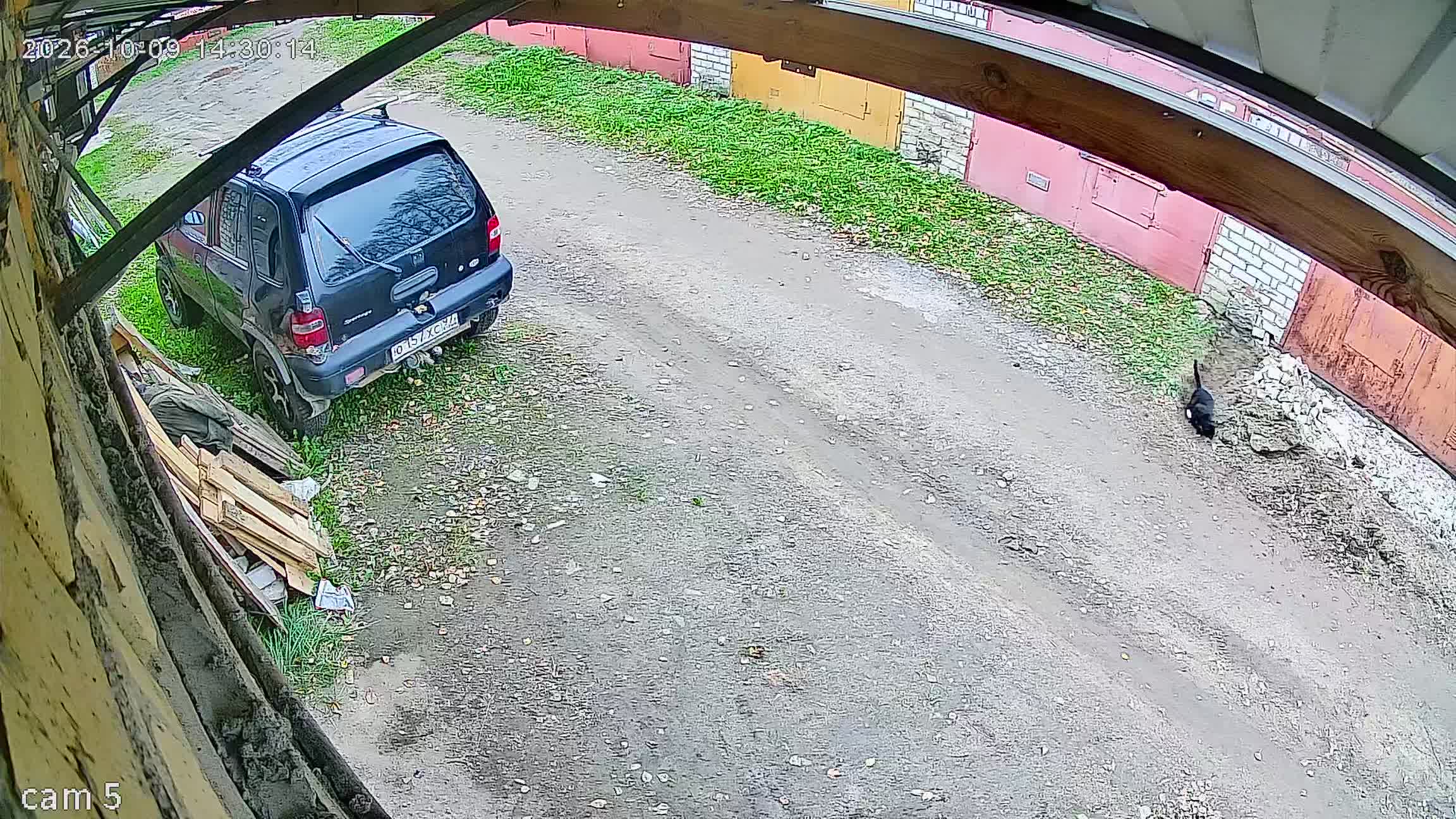 Камера 1 — 09.10.2026 11:30:12