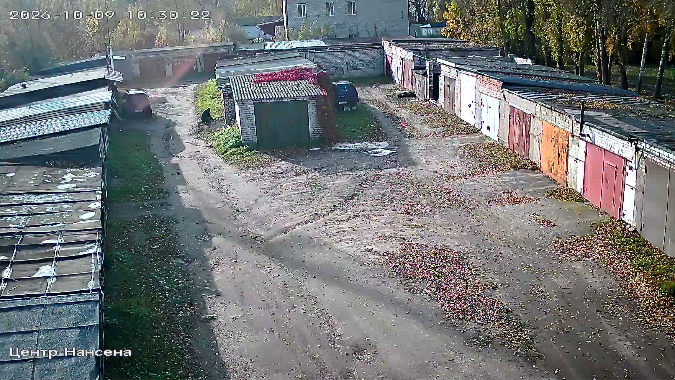 Камера 5 — 09.10.2026 07:30:23