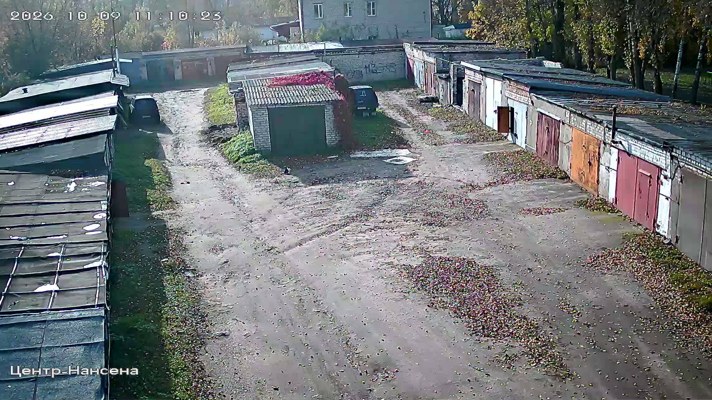 Камера 5 — 09.10.2026 08:10:24