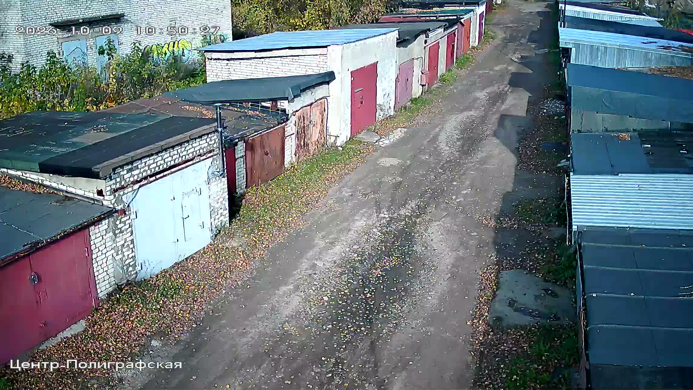 Камера 6 — 09.10.2026 07:50:29