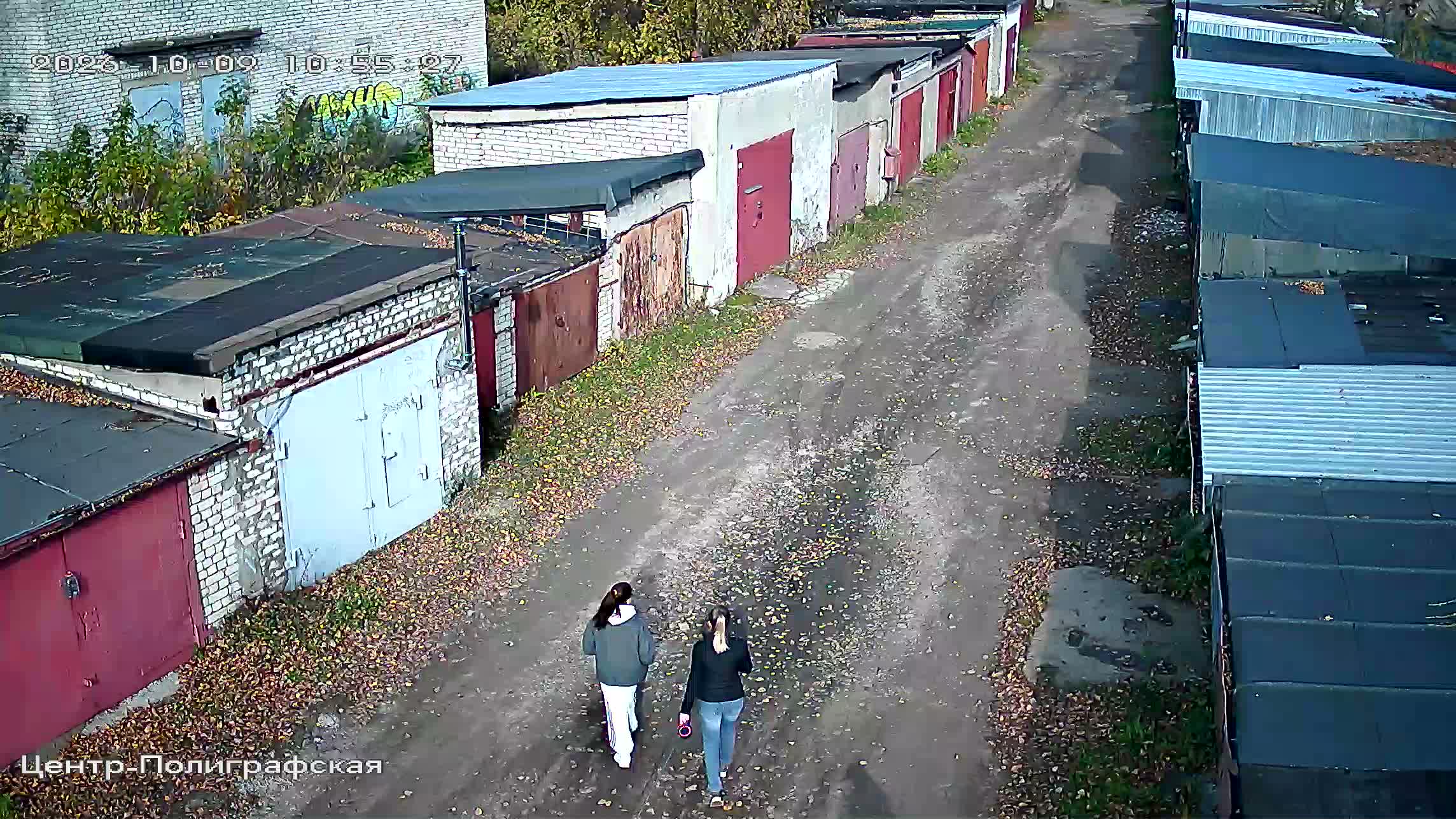Камера 6 — 09.10.2026 07:55:29