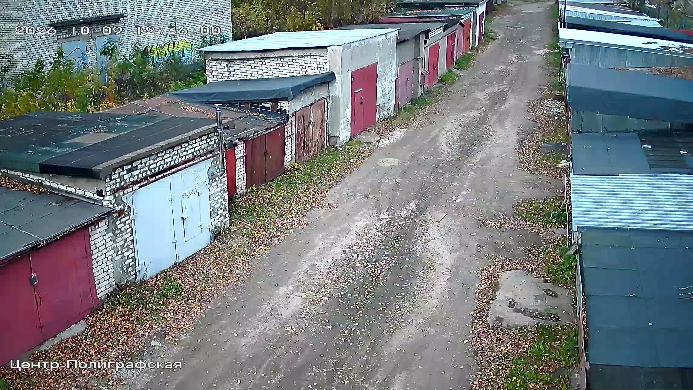 Камера 6 — 09.10.2026 09:36:03