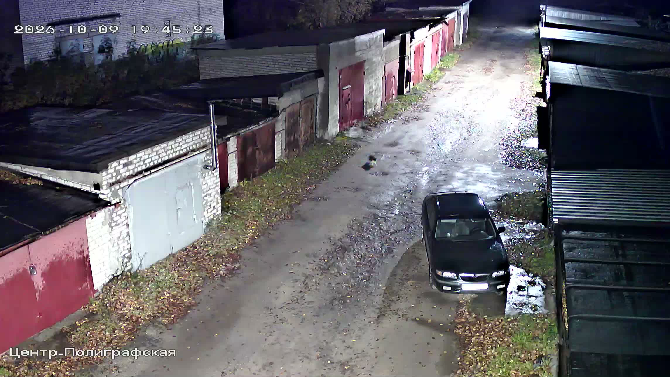 Камера 6 — 09.10.2026 16:45:29